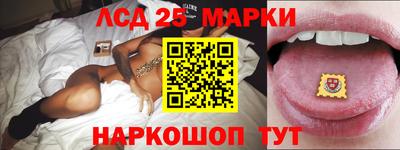 гидропоника Камышлов