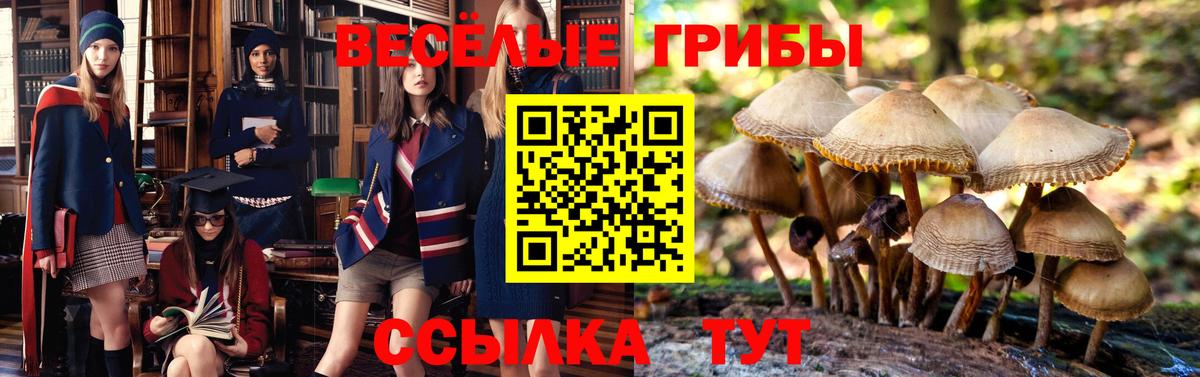 Псилоцибиновые грибы Cubensis  Псилоцибиновые грибы Psilocybine cubensis  купить  цена  Вход с VPN  Ефремов 